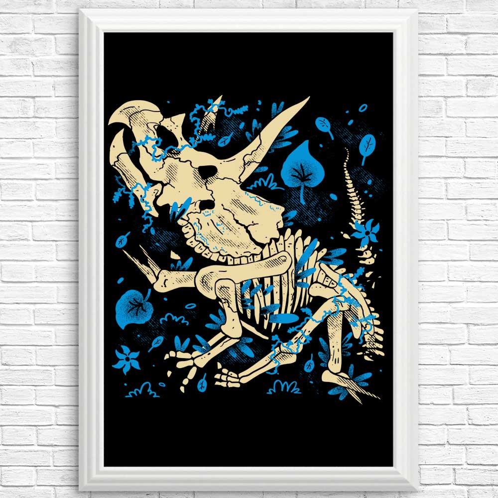 Triceratops Fossil Posters and Prints by Fitas Artwork