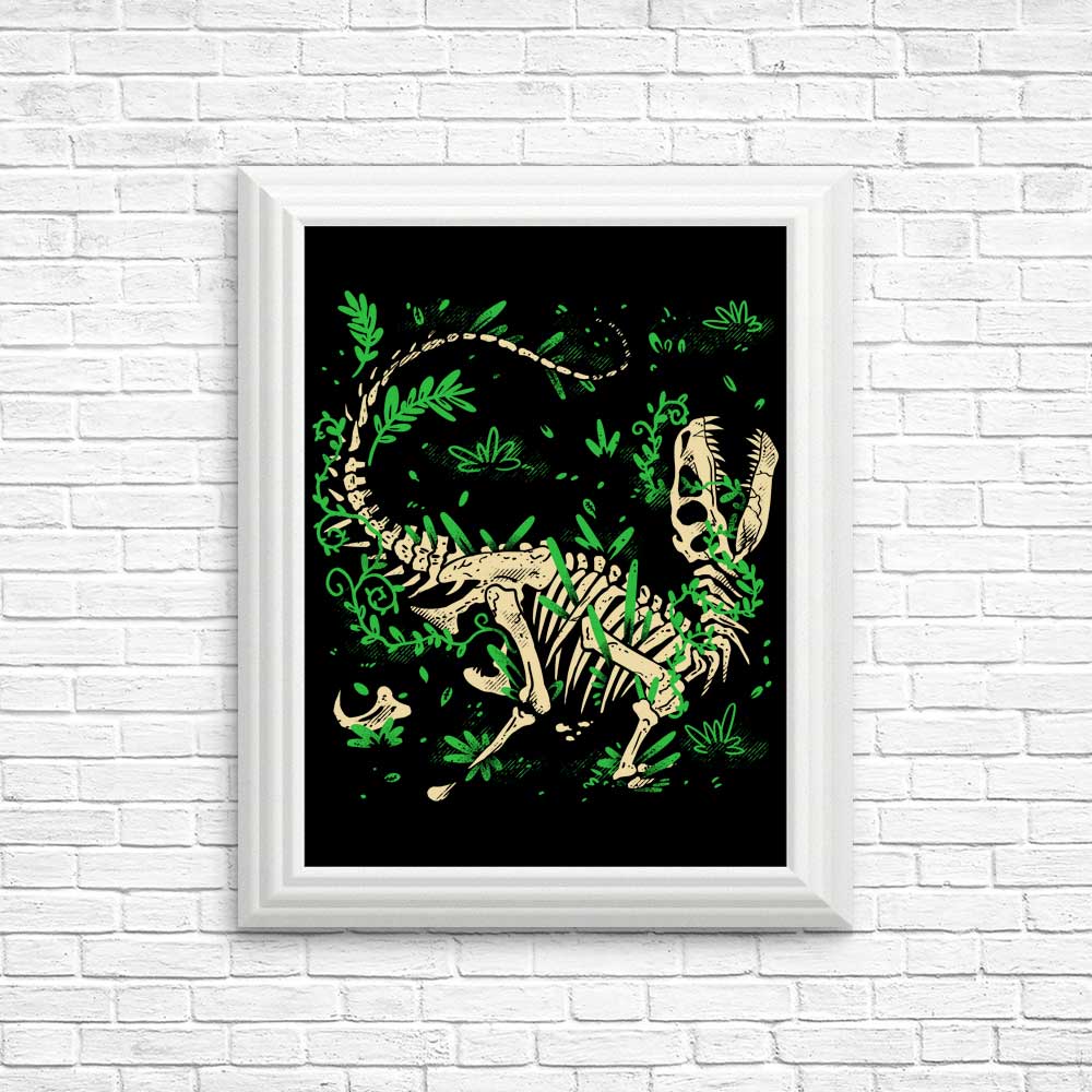 Fossil Posters and Prints Featuring Raptors by Fitas Artwork