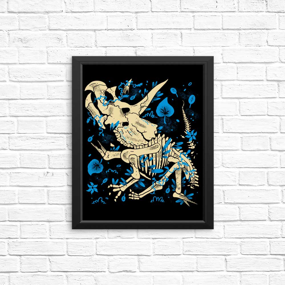 Triceratops Fossil Posters and Prints by Fitas Artwork