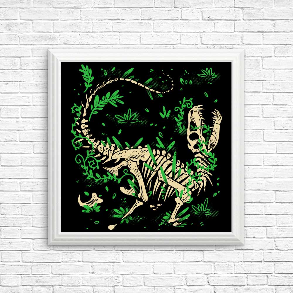 Fossil Posters and Prints Featuring Raptors by Fitas Artwork