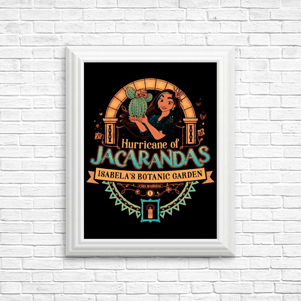 Stunning Jacarandas Hurricane Posters and Prints