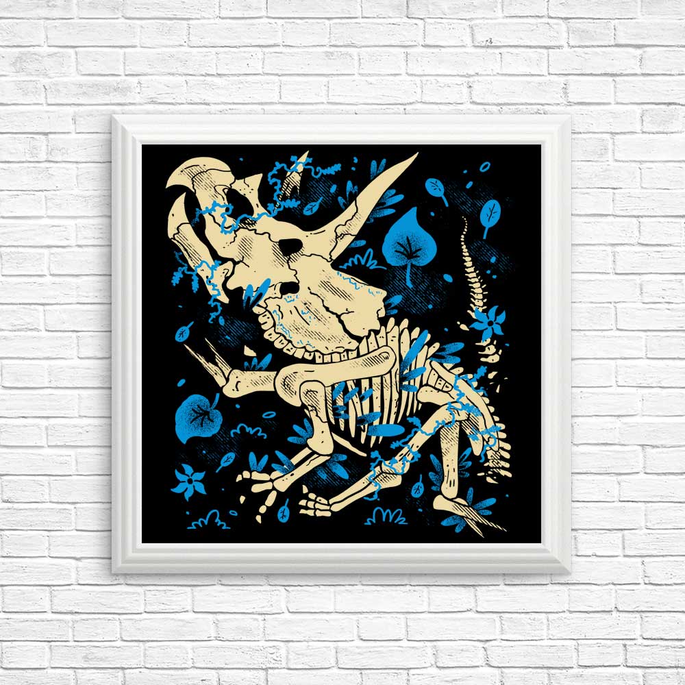 Triceratops Fossil Posters and Prints by Fitas Artwork