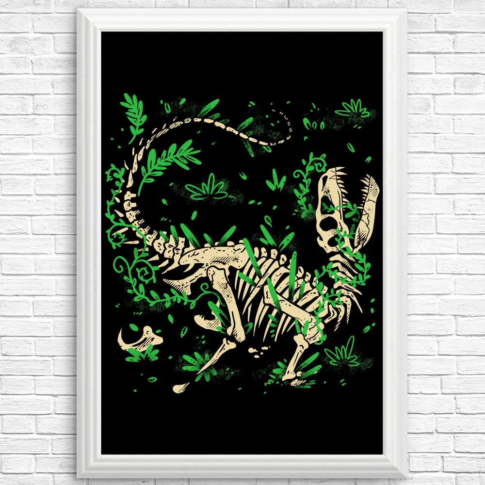 Fossil Posters and Prints Featuring Raptors by Fitas Artwork
