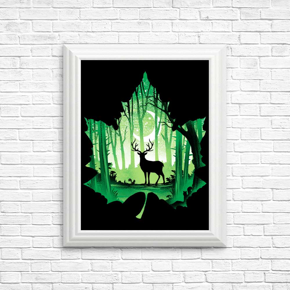 Exquisite Forest Deer Wall Posters and Prints