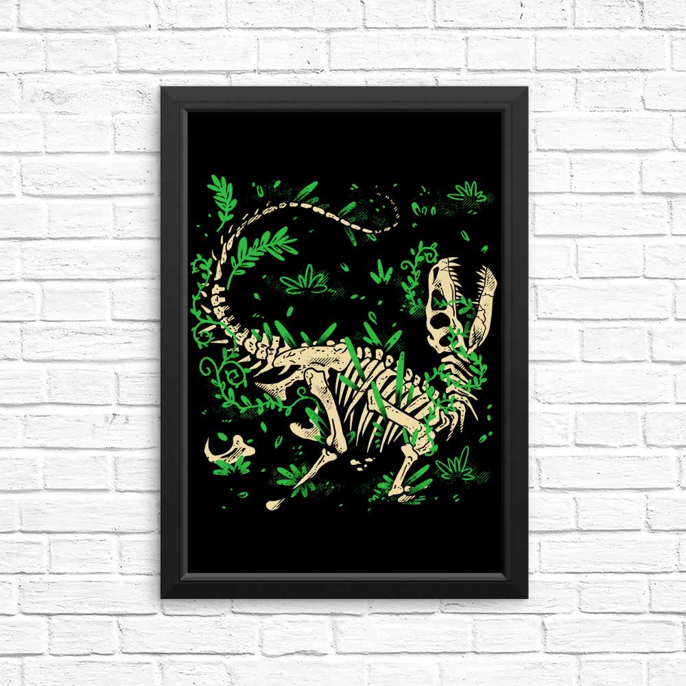 Fossil Posters and Prints Featuring Raptors by Fitas Artwork