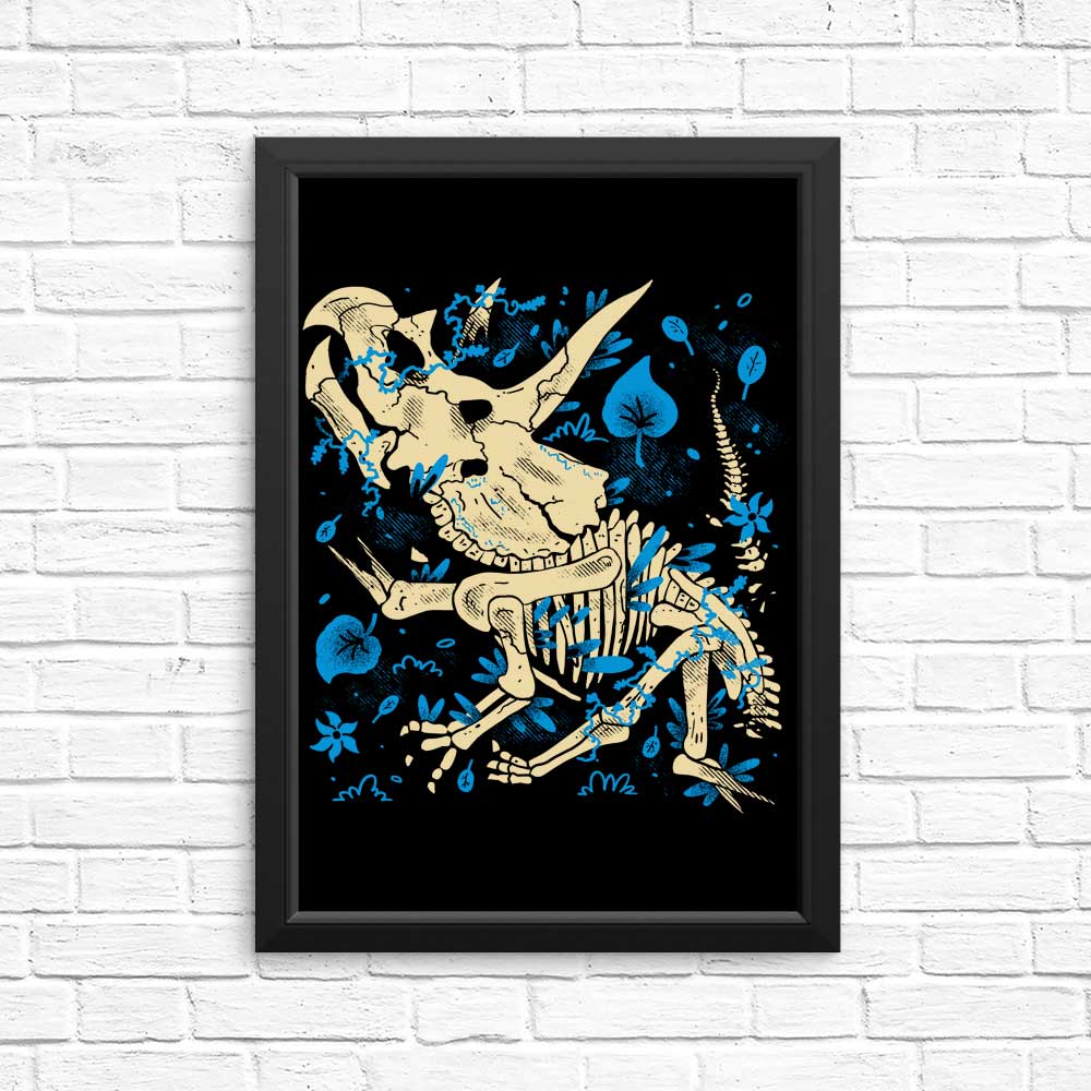 Triceratops Fossil Posters and Prints by Fitas Artwork