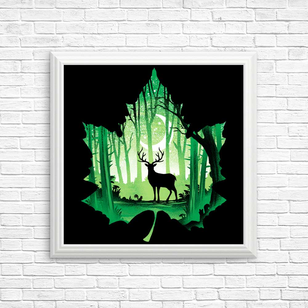 Exquisite Forest Deer Wall Posters and Prints