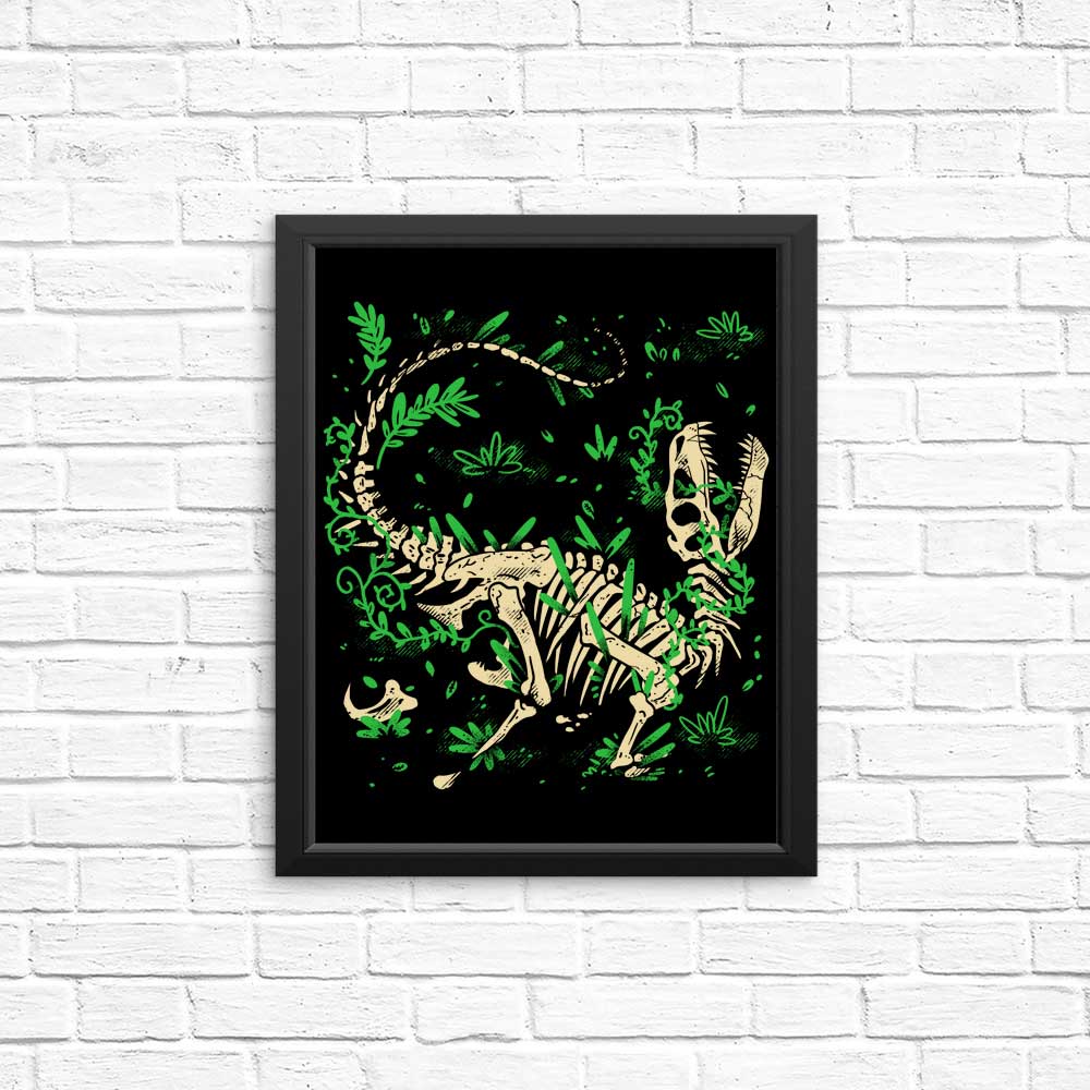 Fossil Posters and Prints Featuring Raptors by Fitas Artwork