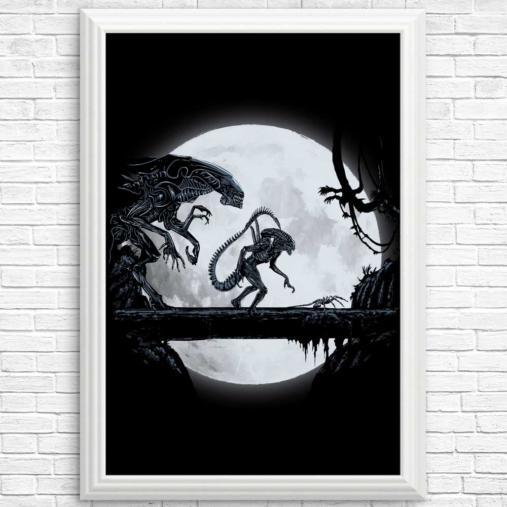 Alien Matata - High - Quality Photographic Posters and Prints