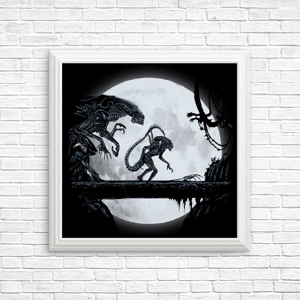Alien Matata - High - Quality Photographic Posters and Prints