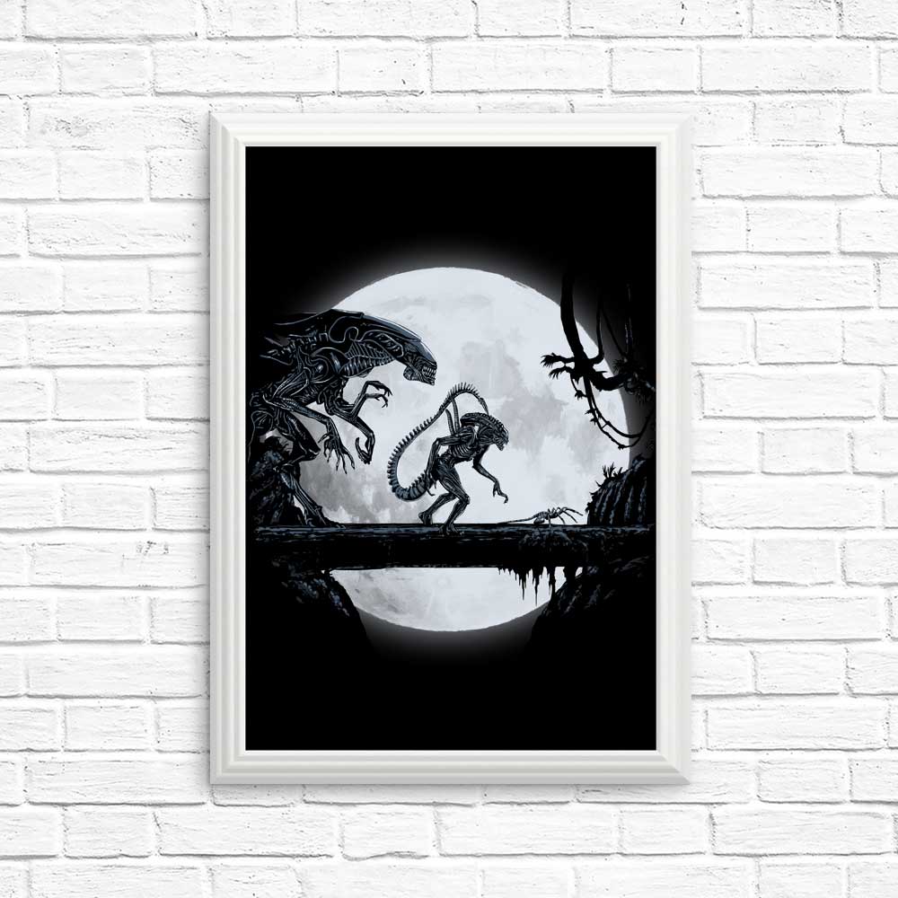 Alien Matata - High - Quality Photographic Posters and Prints