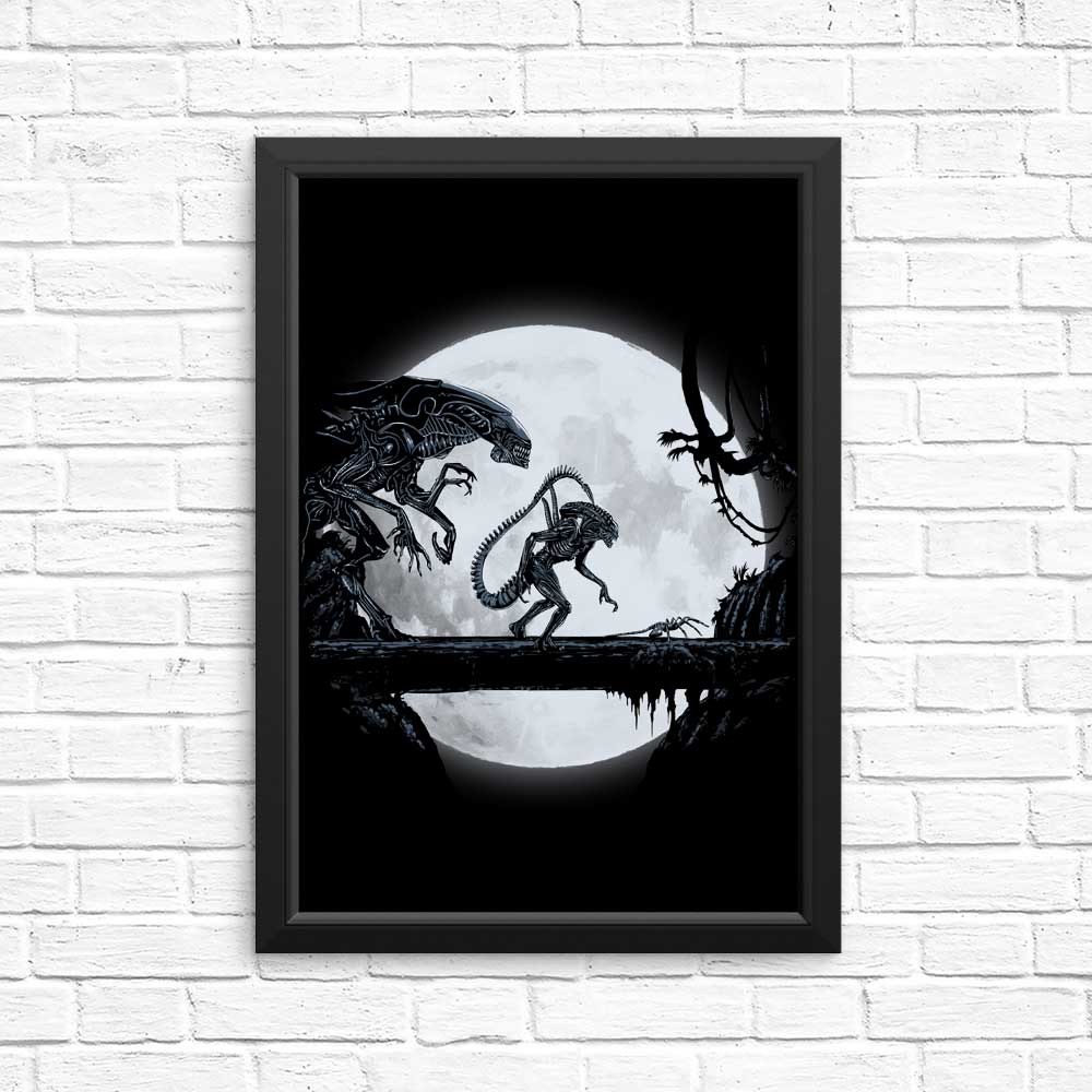 Alien Matata - High - Quality Photographic Posters and Prints