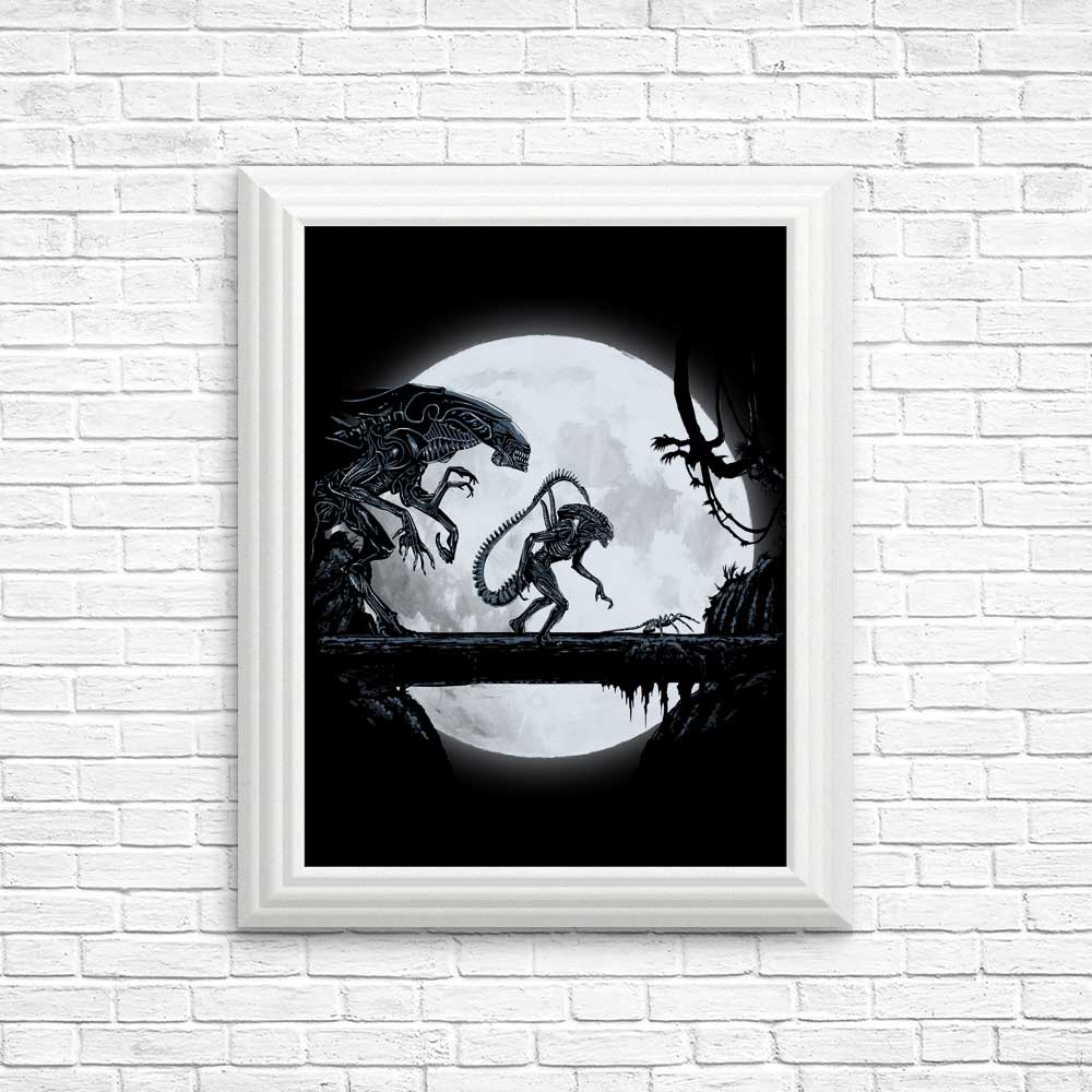 Alien Matata - High - Quality Photographic Posters and Prints